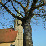 Burghausen